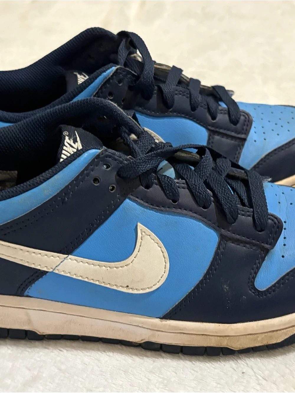 Nike Low-Top Sneakers in Sky Blue and Navy